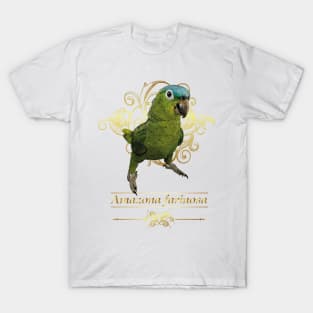 blue-crowned parrot T-Shirt